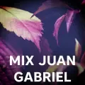Mix Juan Gabriel