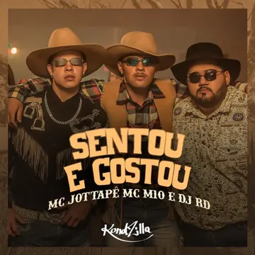 Sentou e Gostou-cover