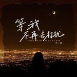 等我不再去打擾-cover