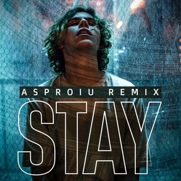 Stay-cover