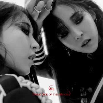 mirror-cover
