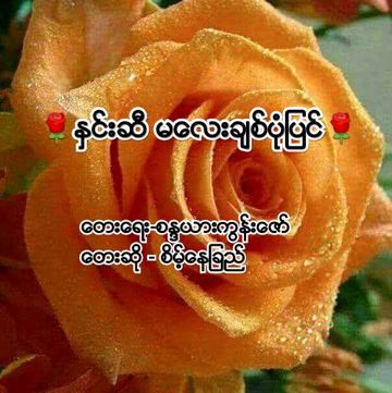 coveImg