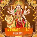Ramvane Raas Tame Aavo-cover