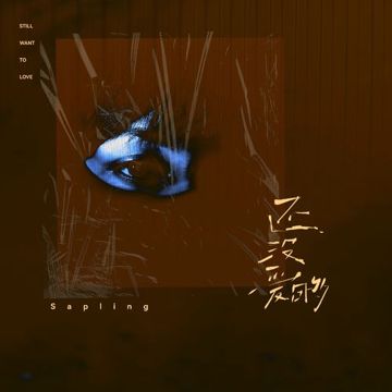 还没爱够-cover