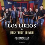 REPROCHES
