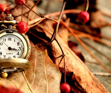 Как сладок шум дождя