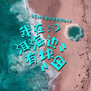 我在洱海边有块田-cover