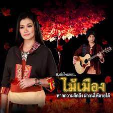 ล่องแม่ปิง-cover