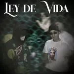 Ley de Vida