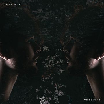 Silk-cover