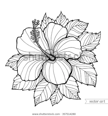 Every night in my dream***