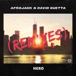 Hero(DISTO Remix)-cover