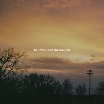 Something in the Orange (Acoustic Ver.)-cover