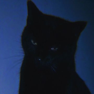 coveImg