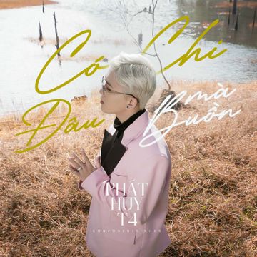 Có Chi Đâu Mà Buồn-cover