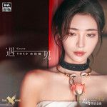 遇见-cover