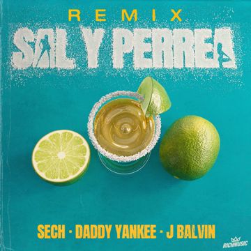 Sal Y Perrea (Remix)-cover
