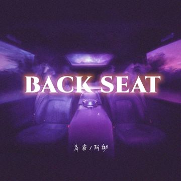 BACK SEAT-cover