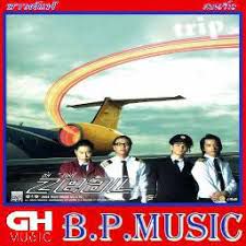 ล้มทั้งยืน-cover