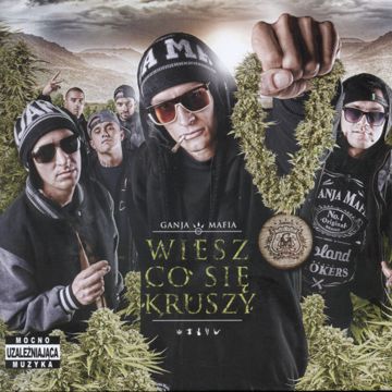 Śledzimy sny-cover