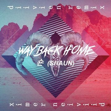 Way Back Home (Akustik)-cover