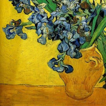 ဒီကောင်မလေးအတွက်