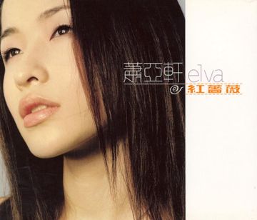 蔷薇-cover