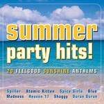 In The Summertime_Shaggy Feat. Rayvon-cover