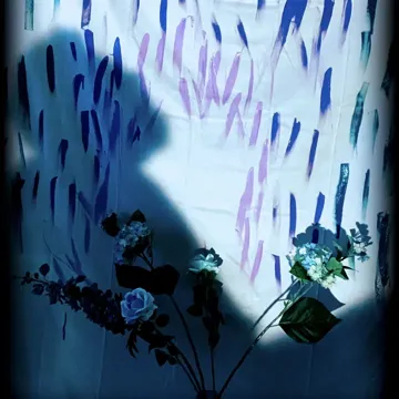 Raindrop-cover