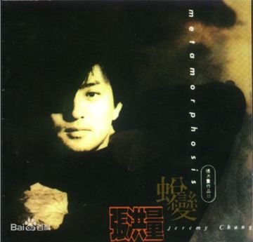 美丽花蝴蝶-cover