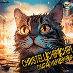 Chipi Chipi Chapa Chapa(Slow Down Version)
