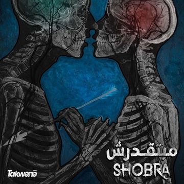 مبتقدرش-cover