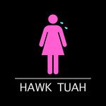 Hawk Tuah-cover