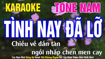 TÌNH NAY ĐÃ LỠ-cover