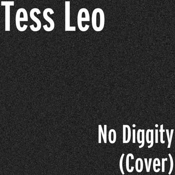 No Diggity-cover