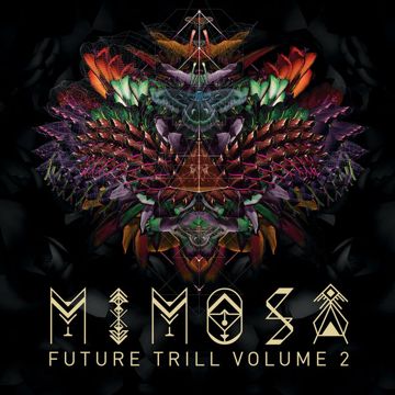 Mimosa-cover