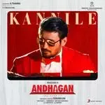 Kannile (From &quot;Andhagan&quot;)-cover