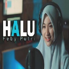 Halu (akustik)