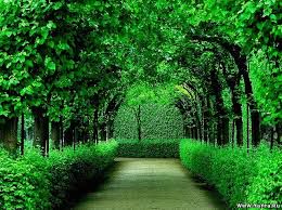 Senga nimadir boldimi