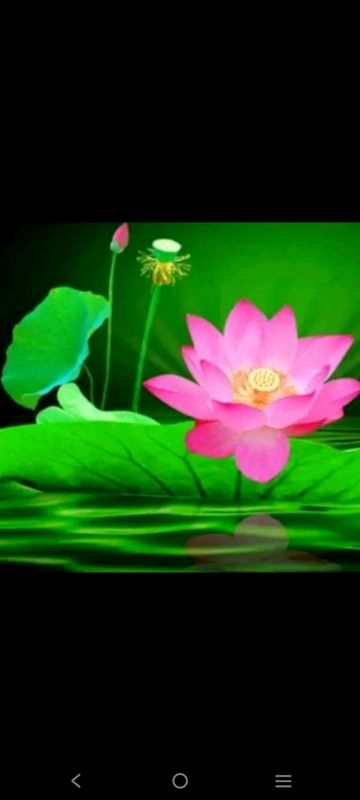 Lk Yêu một mình/Giọt lệ đài trang//-cover