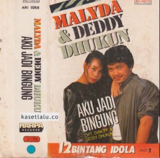 Aku Jadi Bingung-cover