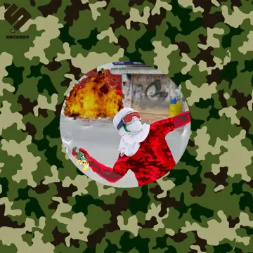 Molotov-cover