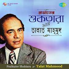 talat-mehmood--cover-image