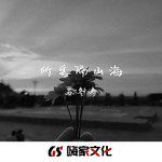 所爱隔山海(Remix)
