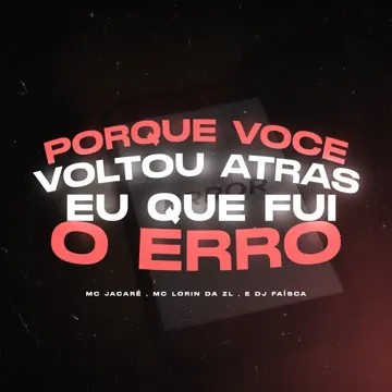 PORQUE VOCE VOLTOU ATRAS, EU QUE FUI O ERRO-cover
