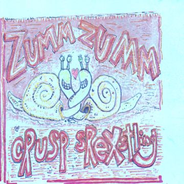 Zumm Zumm
