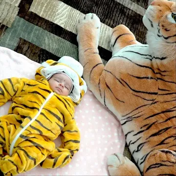 Sidhu Barood Punjabi Song