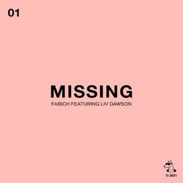 Missing-cover