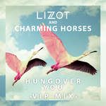 Hungover You(VIP Mix)-cover