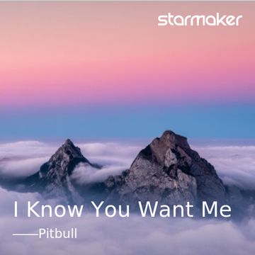 I Know You Want Me-cover